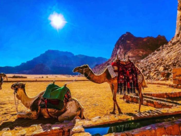 Moon City With Jeep Trips Wadi Rum Esterno foto