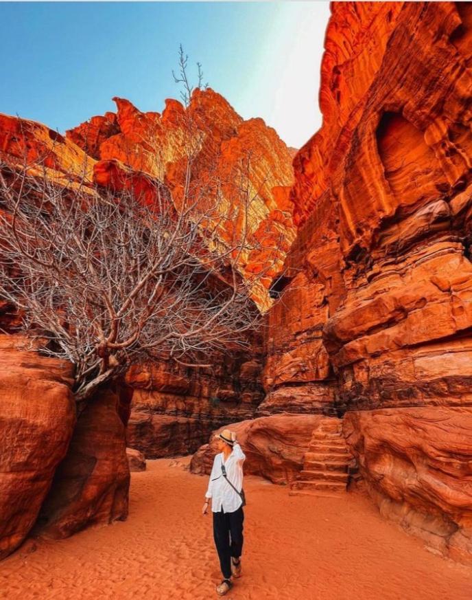 Moon City With Jeep Trips Wadi Rum Esterno foto